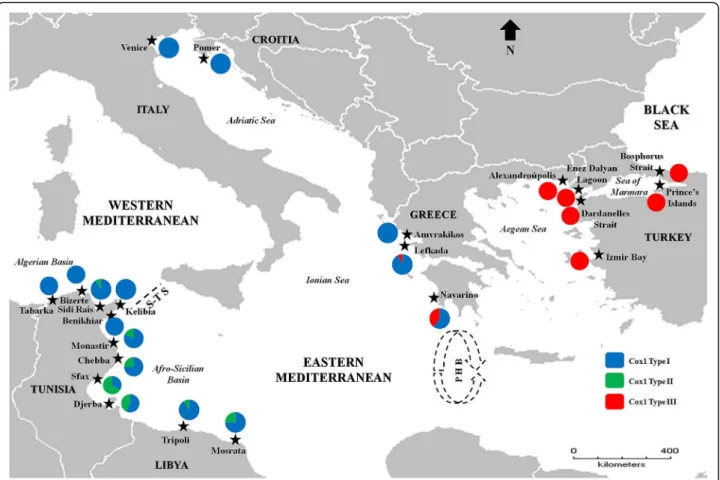 Fig. 1 Sampling locations of the green crab Carcinus aestuarii across the Mediterranean Sea