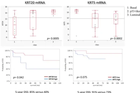 Figure 3. Association of KRT5 and KRT20  mRNA expression levels with MDACC molecular  subtypes (MDACC cohort)