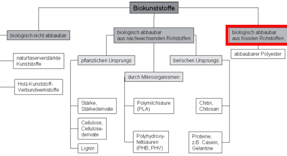 Abb. 13: Systematik der Biokunststoffe. [4]
