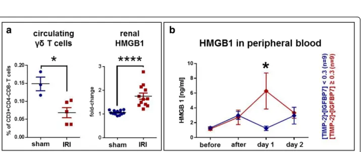 Fig. 3 HMGB1 as a potential driver of γδ T-cell response. a In the murine ischemia-reperfusion injury (IRI) model, the pattern of peripheral γδ T-cell changes was similar to that in the human samples ( see Fig