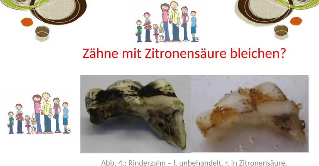 Abb. 4.: Rinderzahn – l. unbehandelt, r. in Zitronensäure.