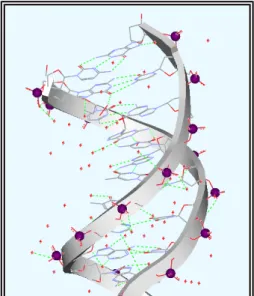 Abbildung 22: Ausschnitt aus der  DNA