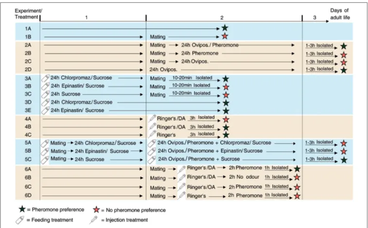 FIGURE 1 | Overview of the experiments performed. Schematic view and chronological order of the treatments of N