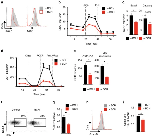 Fig. 5 SLC7A5 is required for NK cell metabolic and functional responses. a – i NK cells were stimulated with IL-2/IL-12 in the presence or absence of BCH (25 mM) for 18 h as indicated