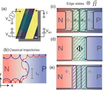 FIG. 1. Concept of snake states and Aharonov-Bohm interference along a graphene p-n junction