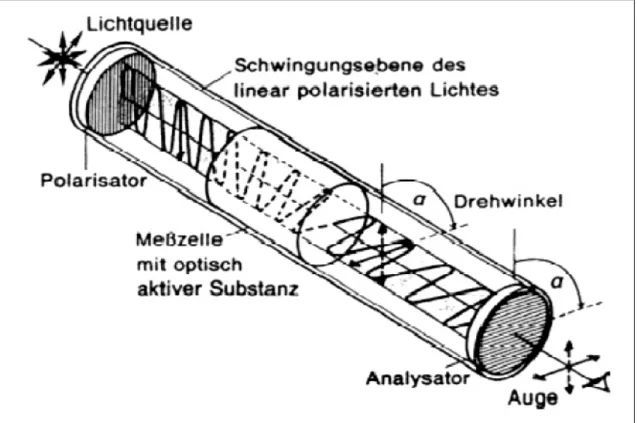 Abb. 2.2: Schematische Darstellung eines Polarimeters