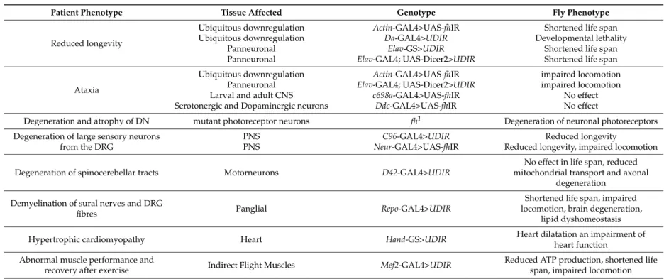 Table 1. Comparison of physiological hallmarks of FRDA in patients and phenotypes observed in FRDA fly models.