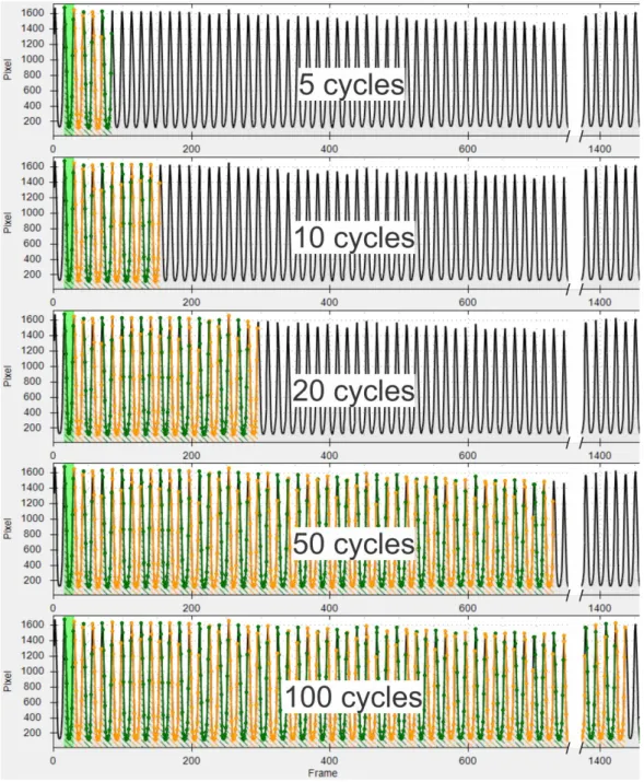 Figure 3. For each segmented GAW 5 sets of consecutive cycles are chosen for analysis