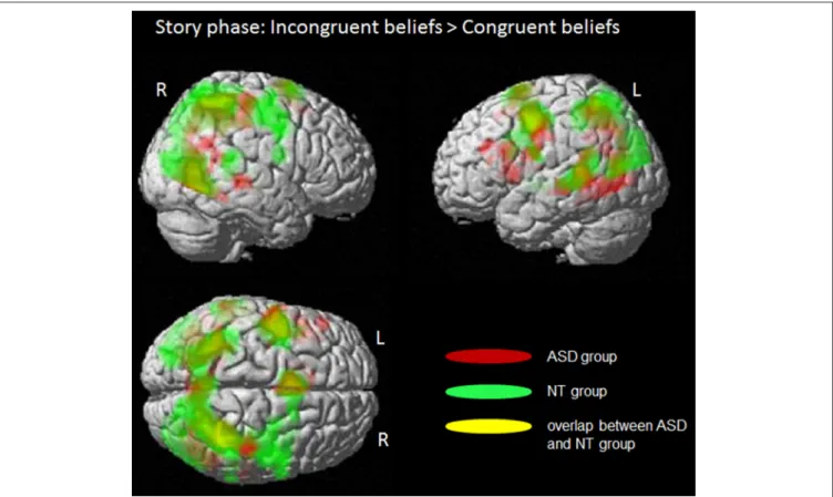 FIGURE 2 | Story phase: Processing of incongruent beliefs compared to congruent beliefs