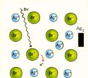 Abb. 11: Schematischer Aufbau eines Silberbromid-Kristalls. 