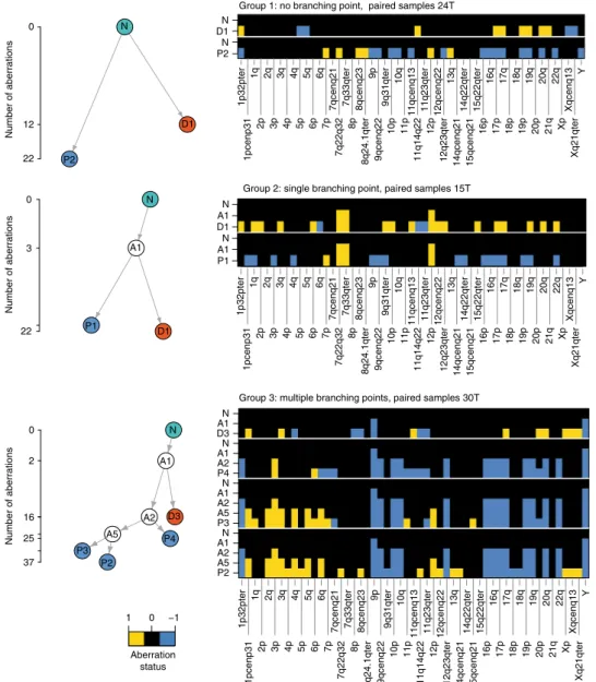 Fig. 3 Phylogenetic trees of paired PT and DCC samples. Representative examples for the three distinct groups observed in our data (for all 19 patients, see Supplementary Figures 6 – 8)