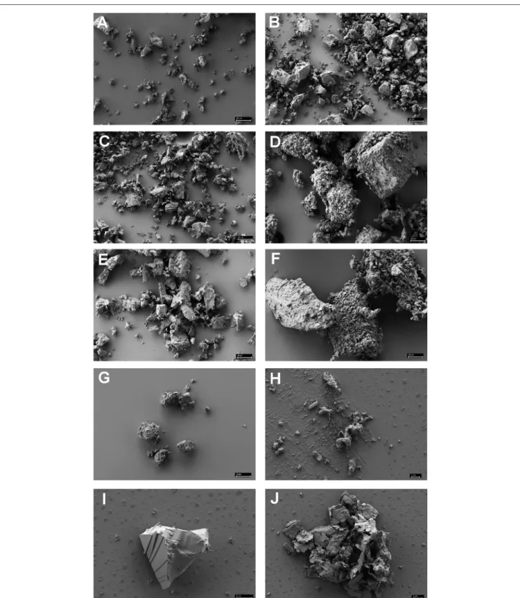 FIGURE 2 | Scanning electron microscopy of various minerals reported to be often found in black smokers (A–G) and of authentic black smoker material (H–J).