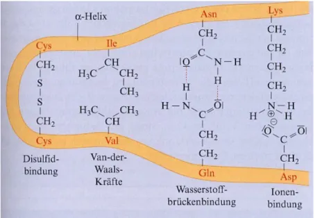 Abb. 8: Bindungen