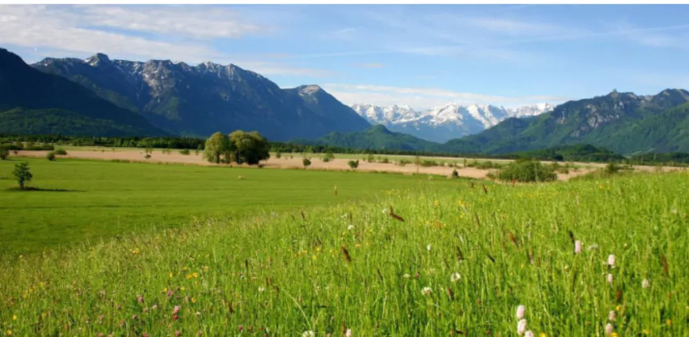 Abbildung  13:  Stickstoffarme,  artenreiche  Wiesen  im  Alpenvorland.  ©  B.  U. 