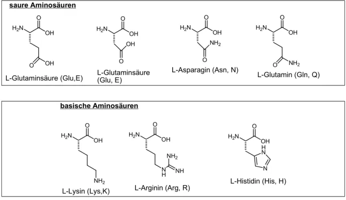 Abb. 4: Aminosäuren (eigener Entwurf)