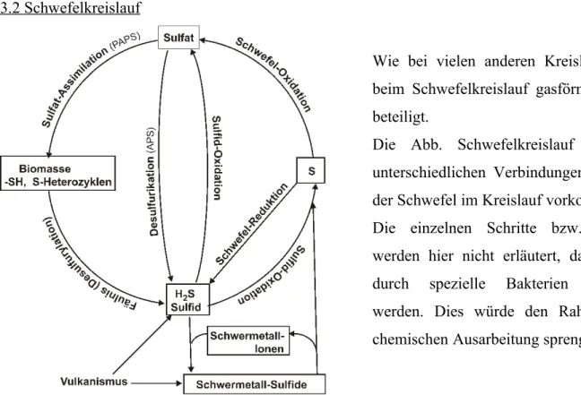 Abb. 6: Schwefelkreislauf (Quelle: Internet www.biologie.de/biowiki/Schwefelkreislauf)