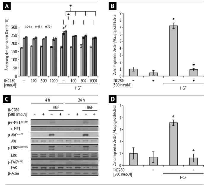 Abb.  1  Exemplarischer  Auszug  einiger  in  vitro-Daten  anhand  von  HPAF-II  A)  MTT-Analyse;  HGF- HGF-induzierte Wachstumssteigerung nach 48 und 72h, die durch INC280 signifikant gehemmt wird ( #  und *p &lt; 
