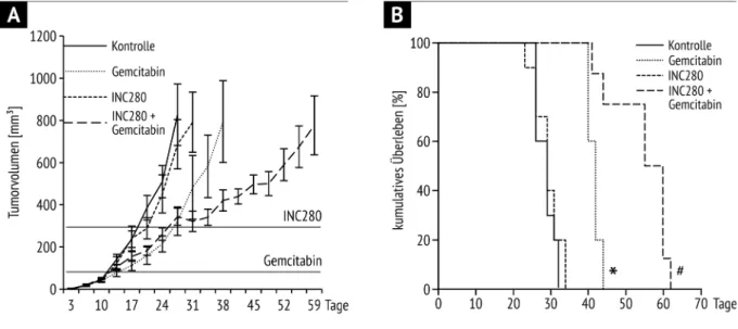 Abb.  4  Kombinationstherapie  Gemcitabin +  INC280 A)  Syngenes,  subkutanes  Modell  (Panc02);  Therapie  mit  Gemcitabin  ab  &gt;  80  mm³  führt  zu  einer  Wachstumsverzögerung,  Kombination  aus  Gemcitabin  und  INC280  bei  Tumorprogress  (&gt;  3