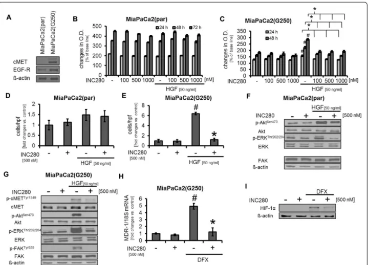 Figure 2 Targeting cMET in parental MiaPaCa2 (MiaPaCa2(par)) and resistant MiaPaCa2 (MiaPaCa2(G250)) pancreatic cancer cell lines.