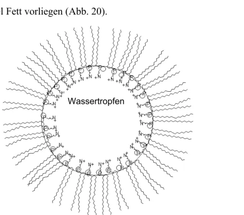 Abb. 20: Struktur einer Wasser-Phosphatidylcholin-Micelle (Quelle: Chemie Studienseiten www.ch-4.de)
