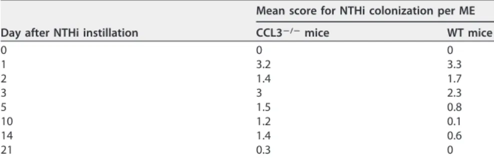 FIG 5 Expression levels of CCL2, CCL7, and CCL12 mRNAs in the MEs of WT versus CCL3-null mice during OM