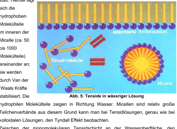 Abb. 5: Tenside in wässriger Lösung