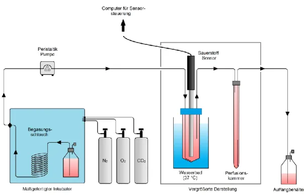 Abbildung 3.6 Schematischer Aufbau zur Bestimmung der Konstanten A‘ und B‘ über T 1 -gewichtete 1D  1 H-NMR-Spektren  mit  HMDSO  im  Medium