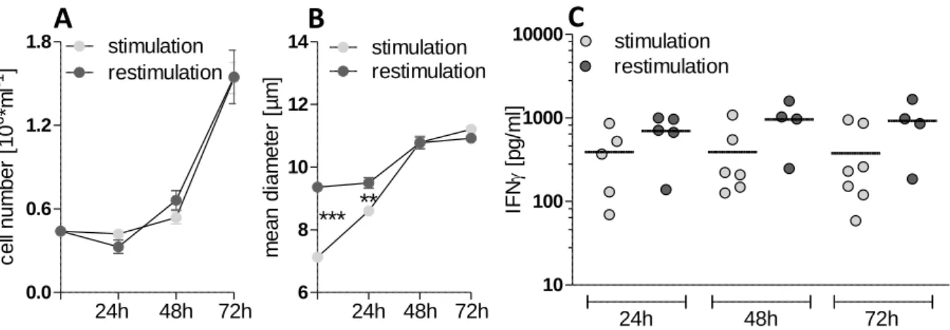 Figure 9. Functional characterization of human stimulated and restimulated CD4 +  T cells 