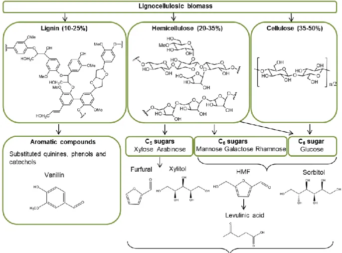 Figure 1.2: Overview of the main platform molecules produced from lignocellulosic biomass