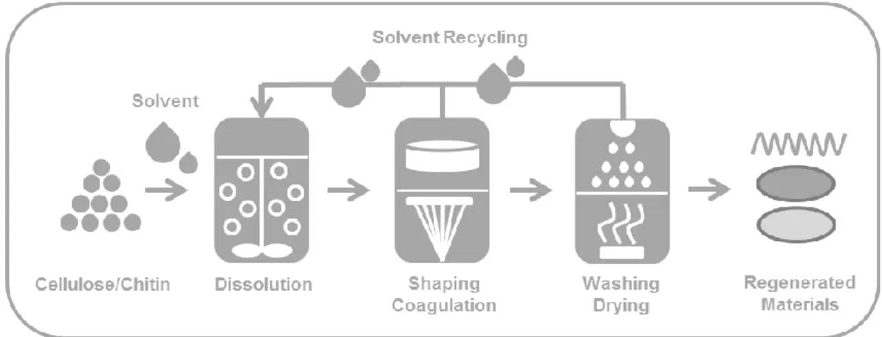 Figure 1.15: Schematic of the production process for the materials composed of cellulose and chitin