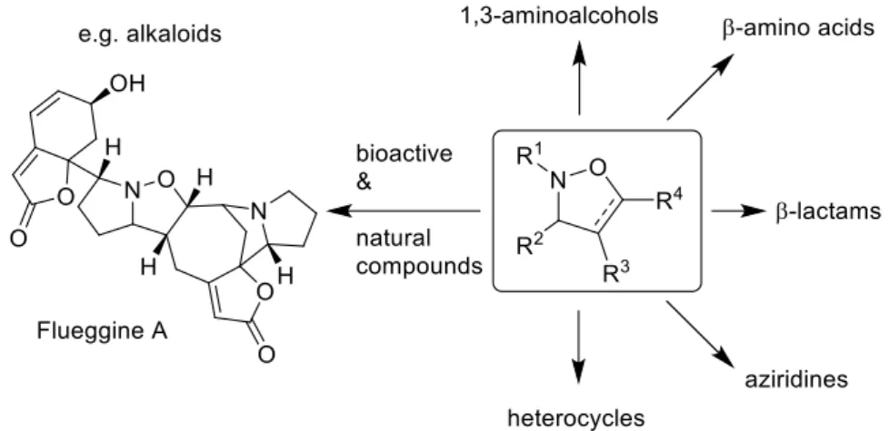 Figure 1. Versatility of isoxazolines as building blocks and biactive units. 