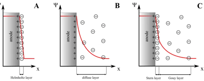 Fig.  II-4:  (A)  Helmholtz  model  of  the  double  layer  at  the  anodic  electrode-electrolyte  interface