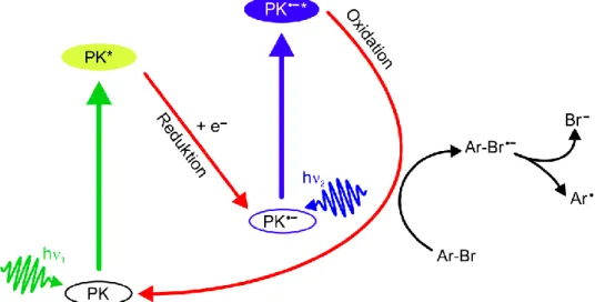 Abbildung 1.1:  Schematische  Darstellung  des  konPET-Zyklus  mit  einem  organischen Photoka- Photoka-talysator  (PK)