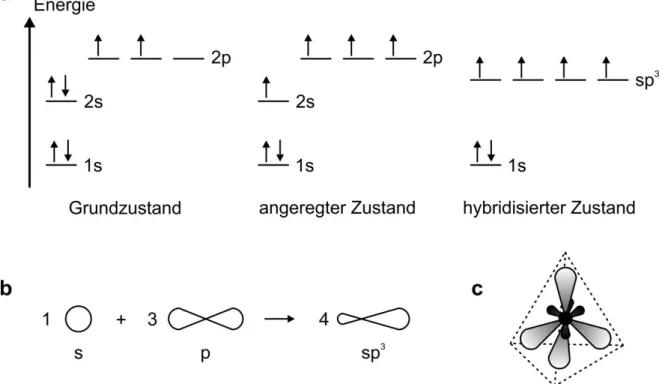 Abbildung 2.1 (a)  zeigt  schematisch  die  Besetzung  der  energetischen  Niveaus  im  C-Atom  gemäß den Hundschen Regeln, sowie dem Pauli-Prinzip mit Spin-up und Spin-down  Elektro-nen im Grundzustand, dem angeregten, sowie dem hybridisierten Zustand