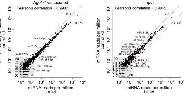 Figure  3.6:  La  Depletion  Affects  MiRNA  Expression  Levels.  Scatterplots  showing  reads  per  million  counts  of  Ago1-4-associated  miRNAs  (left)  or  miRNAs  from  input  samples  (right)  in  La  (x  axis)  versus  control  (y  axis)  knockdown