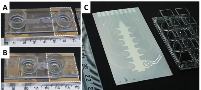 Fig. 12: Photographs of the prototype 1 (A) and 2 (B) flow channels on ITO electrode layouts for  the  measurement  of  3D  tissue  models