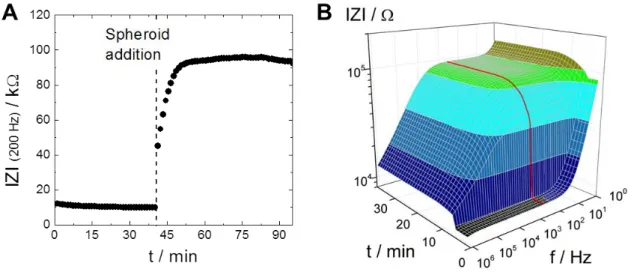 Fig.  20:  Typical  time  course  of  the  impedance  magnitude  at  200 Hz  (A)  and  3D  surface  plot  showing the time and frequency dependence of the impedance magnitude of a channel with and  without spheroid (B)