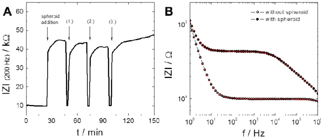 Fig.  26:  Influence  of  repositioning  of  spheroids  (3000 cells/well)  on  the  impedance
