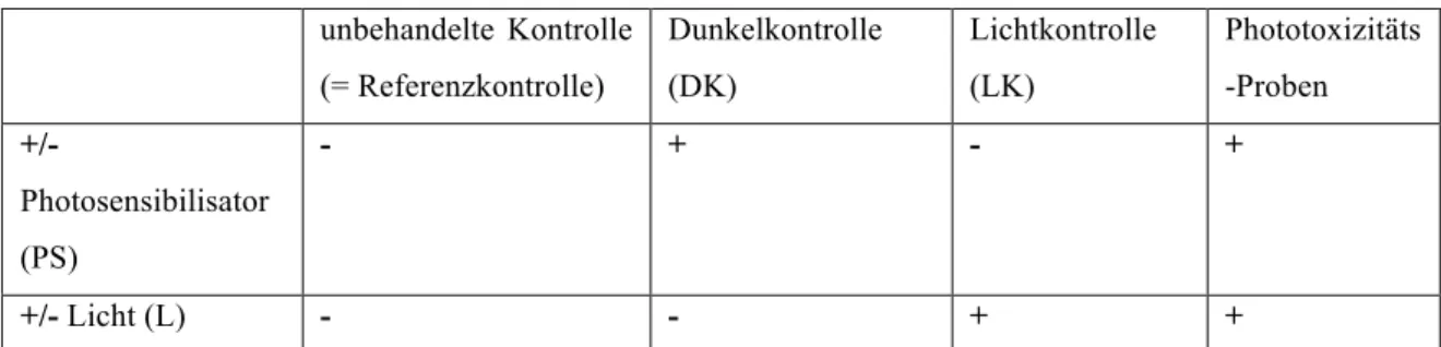 Tab. 19: Getestete Bedingungen bei der photodynamischen Inaktivierung von L. major Promastigoten