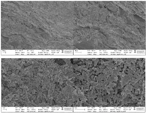 Figure S3. SEM images of the xerogel prepared by freeze-drying of the 3-75 hydrogel. 