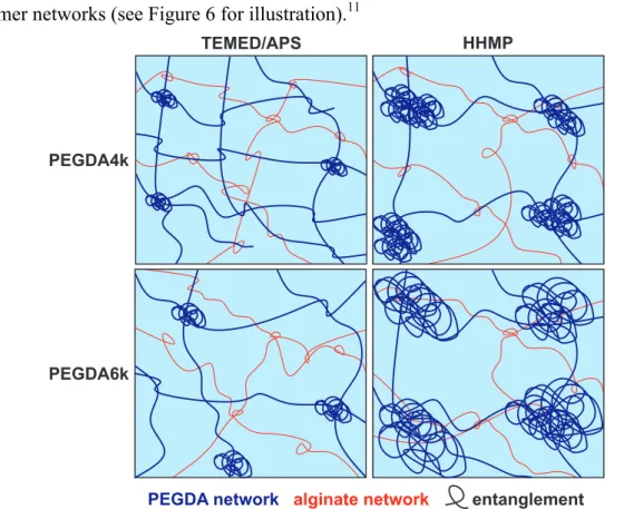 Figure 6.  Schematic  illustration  of  the  suggested  hydrogel  network  structure  as  a  function  of  the  initiator  (TEMED/APS or HHMP) and the PEGDA molecular weight (PEGDA4k or 6k)