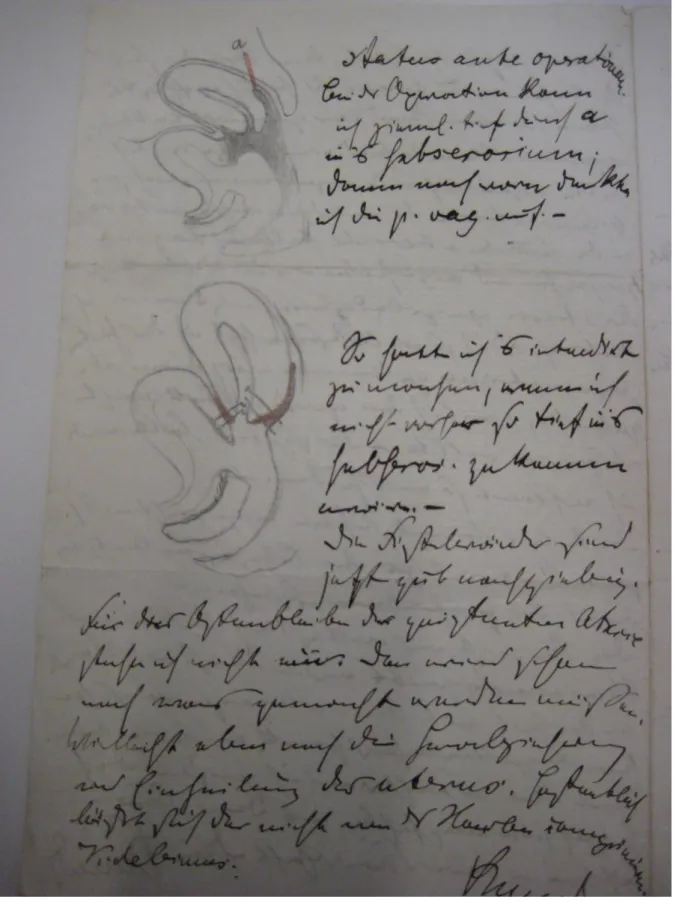 Abbildung 4: Auszug aus einem Brief von Freund an Hegar vom 15.10.1875 