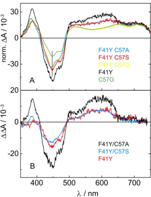 Figure 2.2.9 A: Sum for all DADS of CrLOV1-F41Y, CrLOV1-F41Y/C57S, CrLOV1-F41Y/C57G and CrLOV1-F41Y/C57A referring to the spectra at t 0 before any µs processes occur