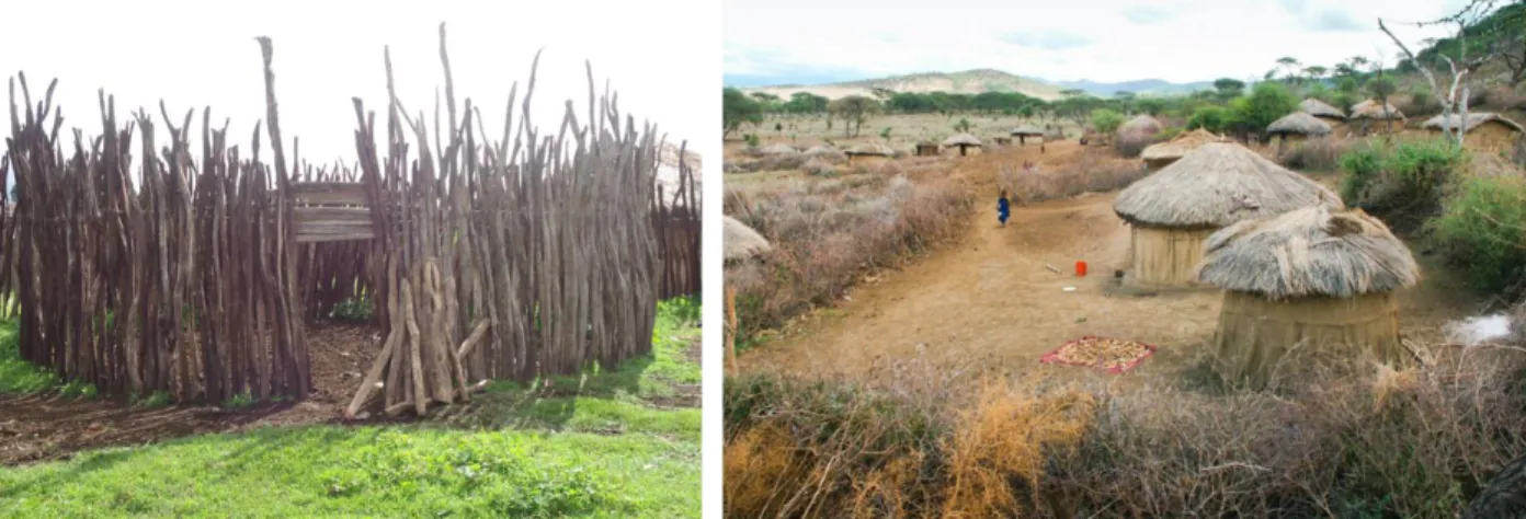 Figure 2.1: Maasai houses. Left: Fence of long poles. Right: Small round houses fenced with acacia thorns