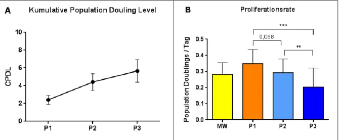 Abb. 15 Kumulative population doubling level und Proliferationsraten von BMSC 