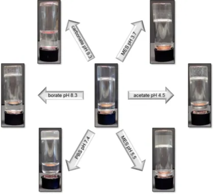 Fig.  25  Response  of  glycyrrhizic  acid  ammonium  salt  derived  gels  in  water/EtOH  9:1  (20 g L -1 )  with  physically entrapped CAMP (0.1 g L -1 )