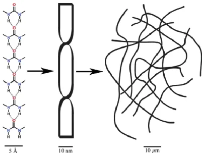 Fig. 3 The primary, secondary, and tertiary structure. Reprinted from Ref. 21 with the permission of  American Chemical Society 
