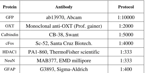 Table 2. Immunofluorescence primary antibody details. 