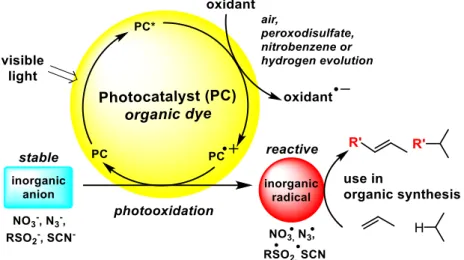 Figure 1-1.  Photocatalytic  oxidation  of  inorganic  anions  into  radicals  and  their  use  in  organic  synthesis