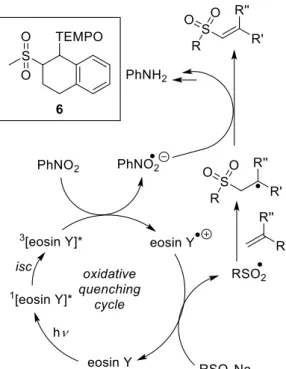 Figure 2-2. The determined overall mechanism of the reaction. 